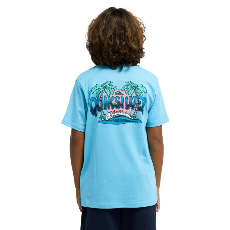 QUIKSILVER Tee-shirt à manches courtes garçon Palm Horizon